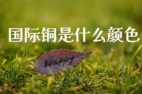 国际铜是什么颜色_https://m.fansifence.com_公募基金_第1张