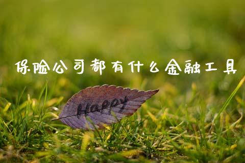 保险公司都有什么金融工具_https://m.fansifence.com_贵金属行情_第1张