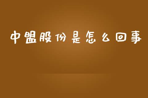 中盟股份是怎么回事_https://m.fansifence.com_公募基金_第1张