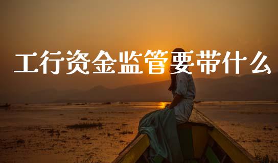 工行资金监管要带什么_https://m.fansifence.com_公募基金_第1张
