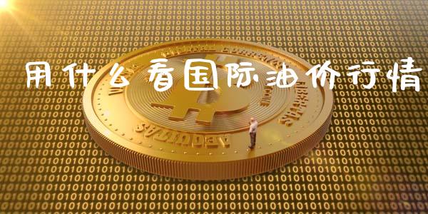 用什么看国际油价行情_https://m.fansifence.com_贵金属行情_第1张