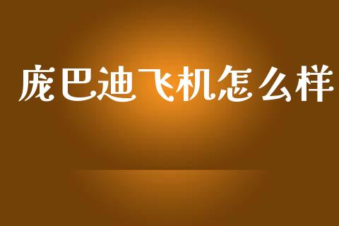 庞巴迪飞机怎么样_https://m.fansifence.com_个股行情_第1张