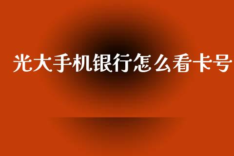 光大手机银行怎么看卡号_https://m.fansifence.com_公募基金_第1张