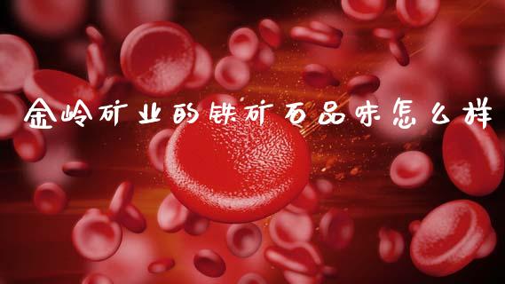 金岭矿业的铁矿石品味怎么样_https://m.fansifence.com_公募基金_第1张