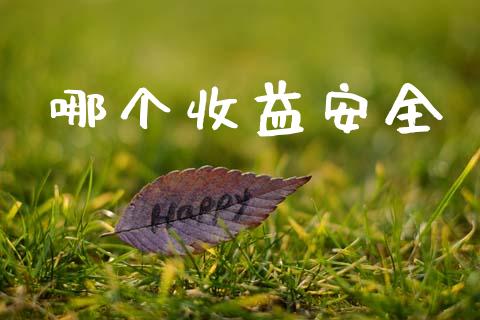哪个收益安全_https://m.fansifence.com_贵金属行情_第1张