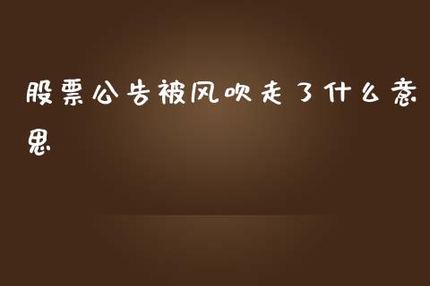 股票公告被风吹走了什么意思_https://m.fansifence.com_公募基金_第1张