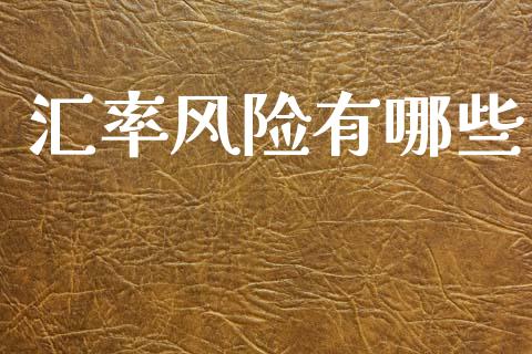 汇率风险有哪些_https://m.fansifence.com_公募基金_第1张