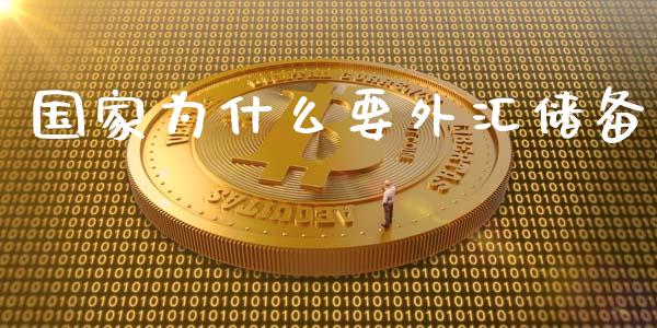 国家为什么要外汇储备_https://m.fansifence.com_消费金融_第1张