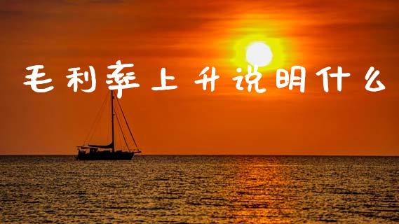 毛利率上升说明什么_https://m.fansifence.com_贵金属行情_第1张