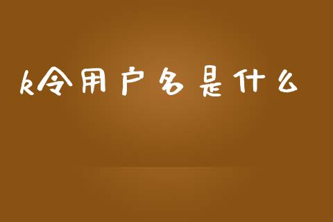 k令用户名是什么_https://m.fansifence.com_消费金融_第1张
