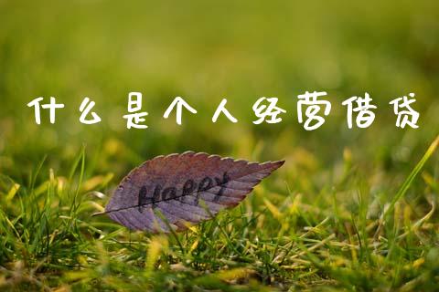 什么是个人经营借贷_https://m.fansifence.com_消费金融_第1张