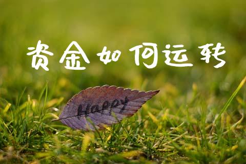 资金如何运转_https://m.fansifence.com_贵金属行情_第1张