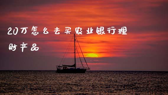 20万怎么去买农业银行理财产品_https://m.fansifence.com_贵金属行情_第1张