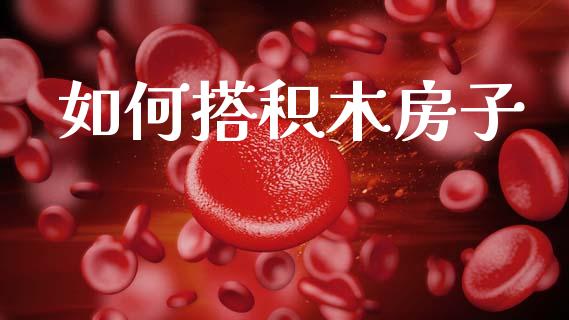 如何搭积木房子_https://m.fansifence.com_消费金融_第1张