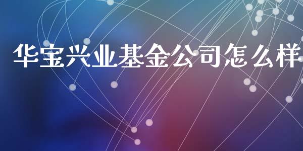 华宝兴业基金公司怎么样_https://m.fansifence.com_公募基金_第1张