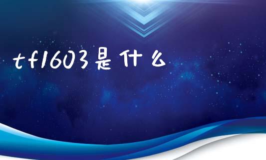 tf1603是什么_https://m.fansifence.com_公募基金_第1张