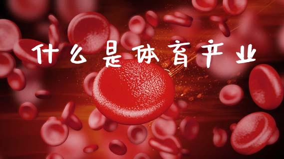 什么是体育产业_https://m.fansifence.com_消费金融_第1张