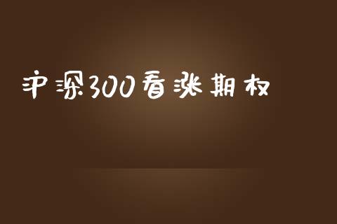 沪深300看涨期权_https://m.fansifence.com_消费金融_第1张