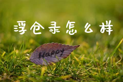 浮仓录怎么样_https://m.fansifence.com_贵金属行情_第1张