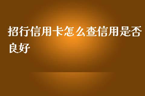 招行信用卡怎么查信用是否良好_https://m.fansifence.com_公募基金_第1张