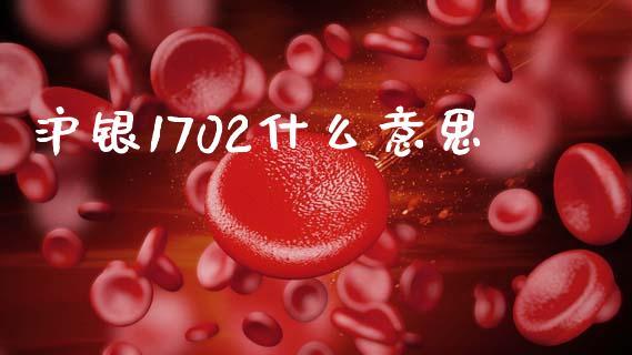 沪银1702什么意思_https://m.fansifence.com_贵金属行情_第1张