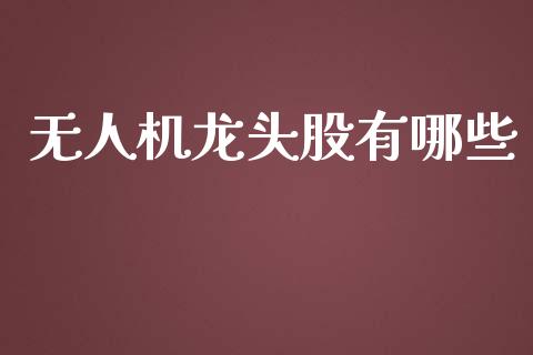无人机龙头股有哪些_https://m.fansifence.com_消费金融_第1张