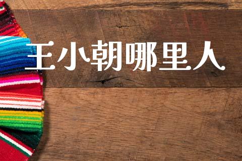 王小朝哪里人_https://m.fansifence.com_个股行情_第1张