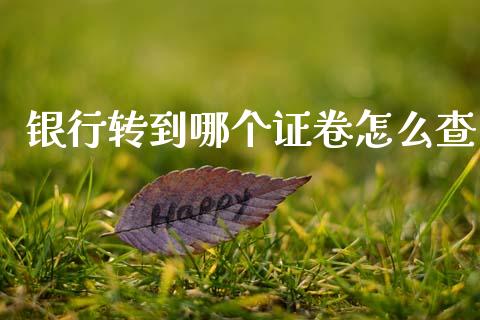 银行转到哪个证卷怎么查_https://m.fansifence.com_贵金属行情_第1张