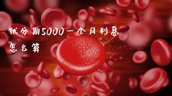 优分期5000一个月利息怎么算_https://m.fansifence.com_公募基金_第1张
