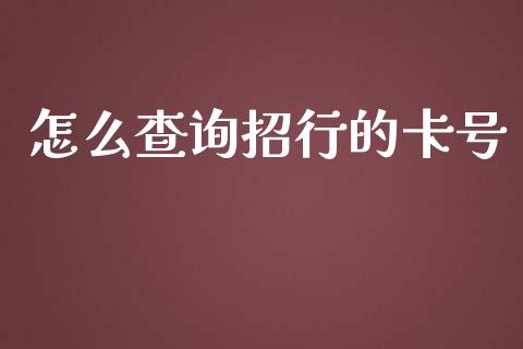怎么查询招行的卡号_https://m.fansifence.com_公募基金_第1张