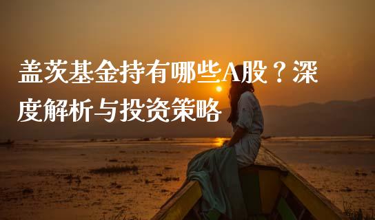 盖茨基金持有哪些A股？深度解析与投资策略_https://m.fansifence.com_个股行情_第1张