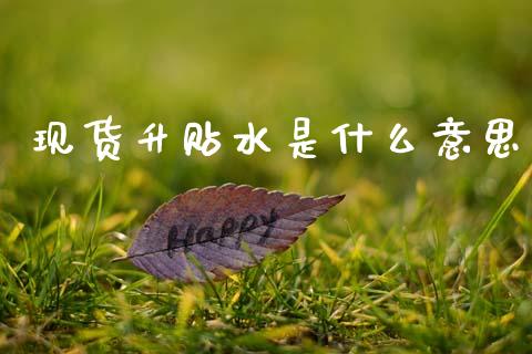 现货升贴水是什么意思_https://m.fansifence.com_贵金属行情_第1张
