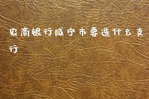 农商银行咸宁市要选什么支行_https://m.fansifence.com_公募基金_第1张