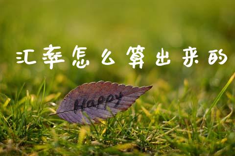 汇率怎么算出来的_https://m.fansifence.com_贵金属行情_第1张