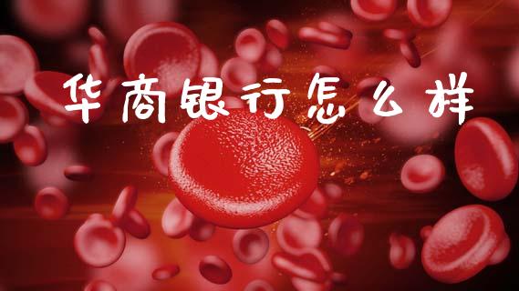 华商银行怎么样_消费金融_第1张_个股行情_消费金融_贵金属行情_公募基金 华商银行怎么样_https://m.fansifence.com_消费金融_第1张