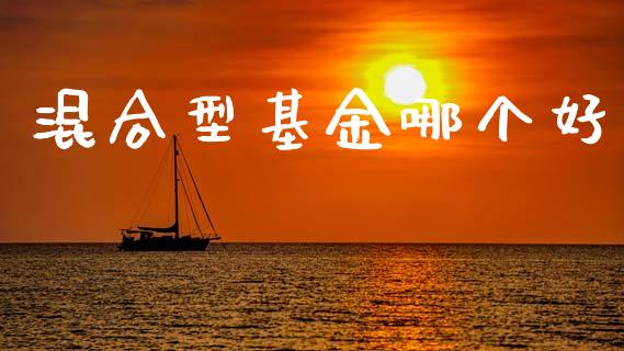 混合型基金哪个好_https://m.fansifence.com_贵金属行情_第1张