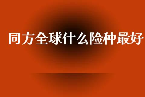 同方全球什么险种最好_https://m.fansifence.com_消费金融_第1张