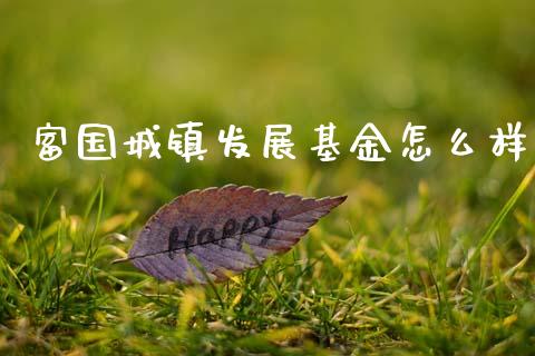 富国城镇发展基金怎么样_https://m.fansifence.com_消费金融_第1张