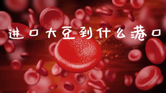 进口大豆到什么港口_https://m.fansifence.com_贵金属行情_第1张
