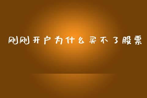 刚刚开户为什么买不了股票_https://m.fansifence.com_贵金属行情_第1张