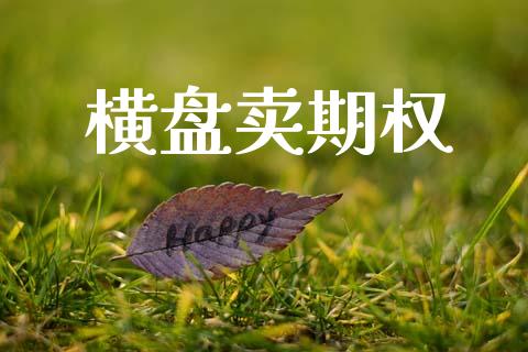 横盘卖期权_https://m.fansifence.com_贵金属行情_第1张
