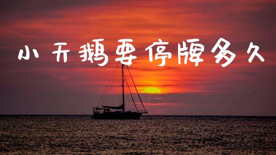 小天鹅要停牌多久_https://m.fansifence.com_公募基金_第1张