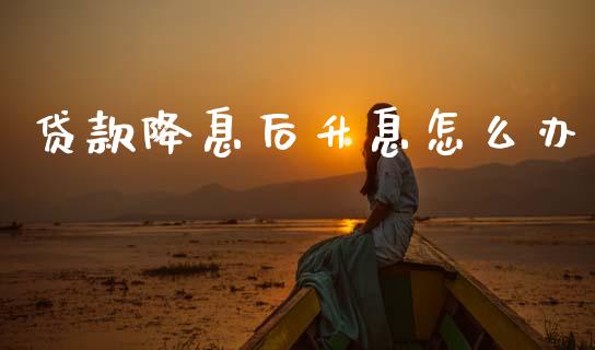 贷款降息后升息怎么办_https://m.fansifence.com_消费金融_第1张