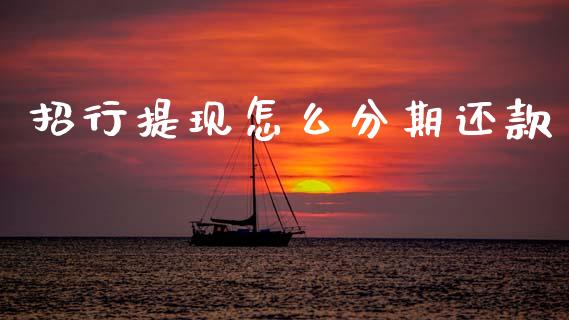 招行提现怎么分期还款_https://m.fansifence.com_个股行情_第1张