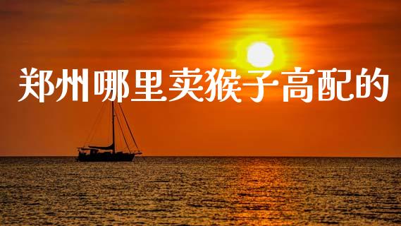 郑州哪里卖猴子高配的_https://m.fansifence.com_消费金融_第1张