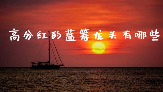 高分红的蓝筹龙头有哪些_https://m.fansifence.com_消费金融_第1张