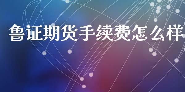 鲁证期货手续费怎么样_https://m.fansifence.com_消费金融_第1张