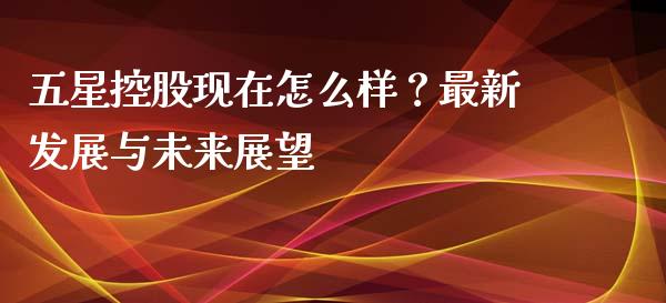 五星控股现在怎么样？最新发展与未来展望_https://m.fansifence.com_消费金融_第1张