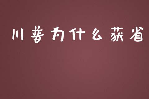 川普为什么获省_https://m.fansifence.com_消费金融_第1张