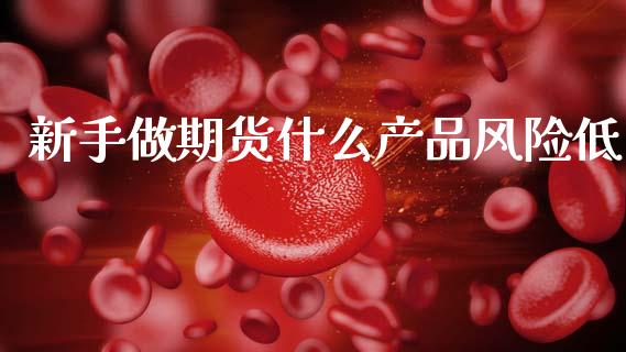 新手做期货什么产品风险低_https://m.fansifence.com_公募基金_第1张